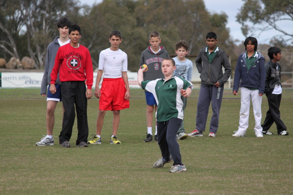 Junior Cricket