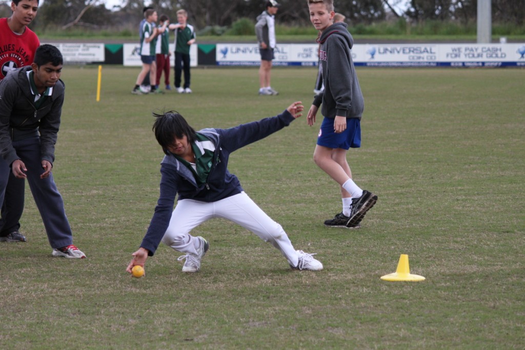 Junior Cricket