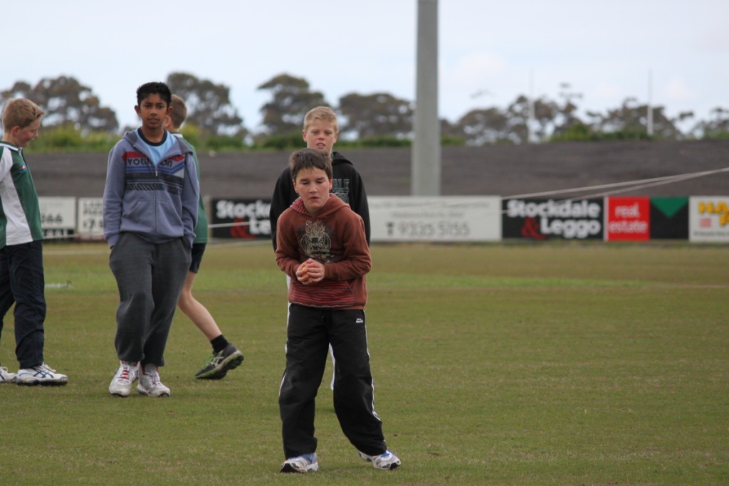 Junior Cricket