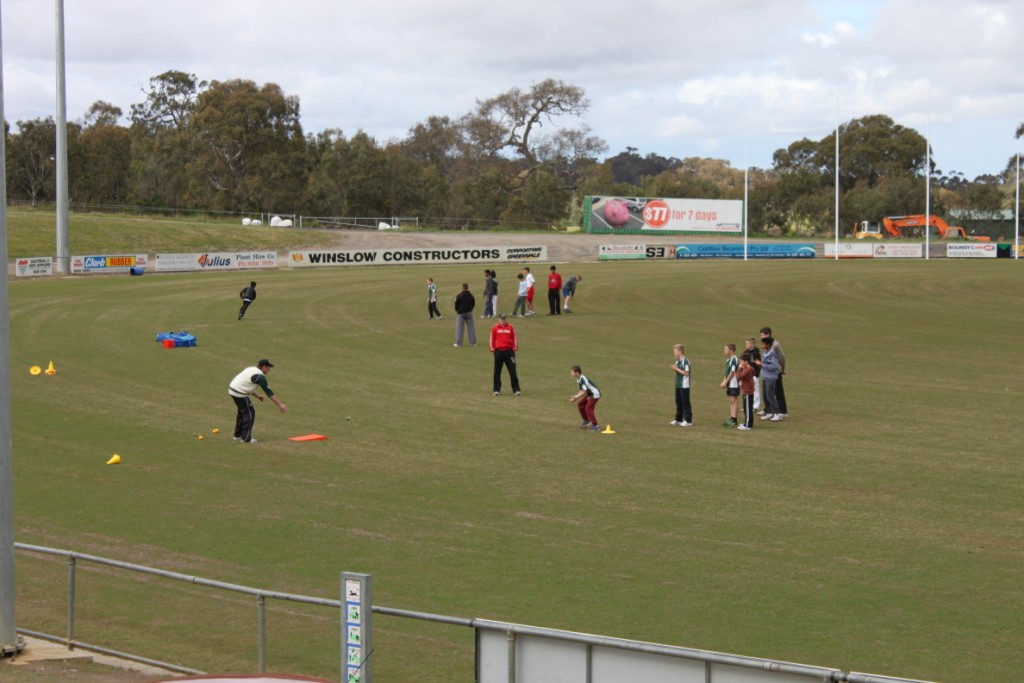 Junior Cricket