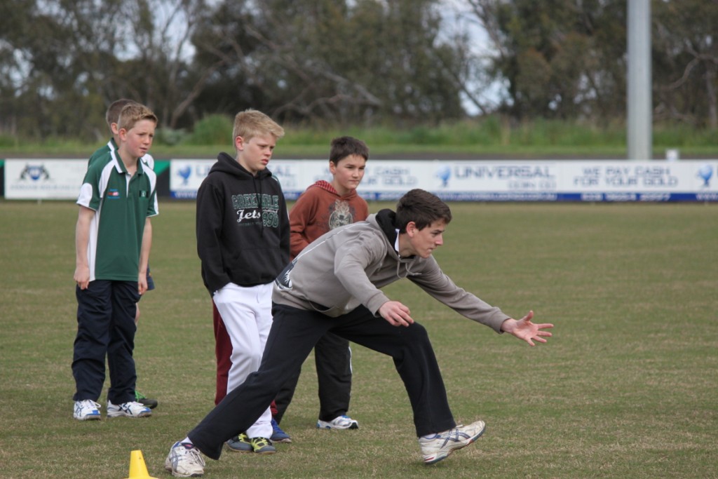 Junior Cricket