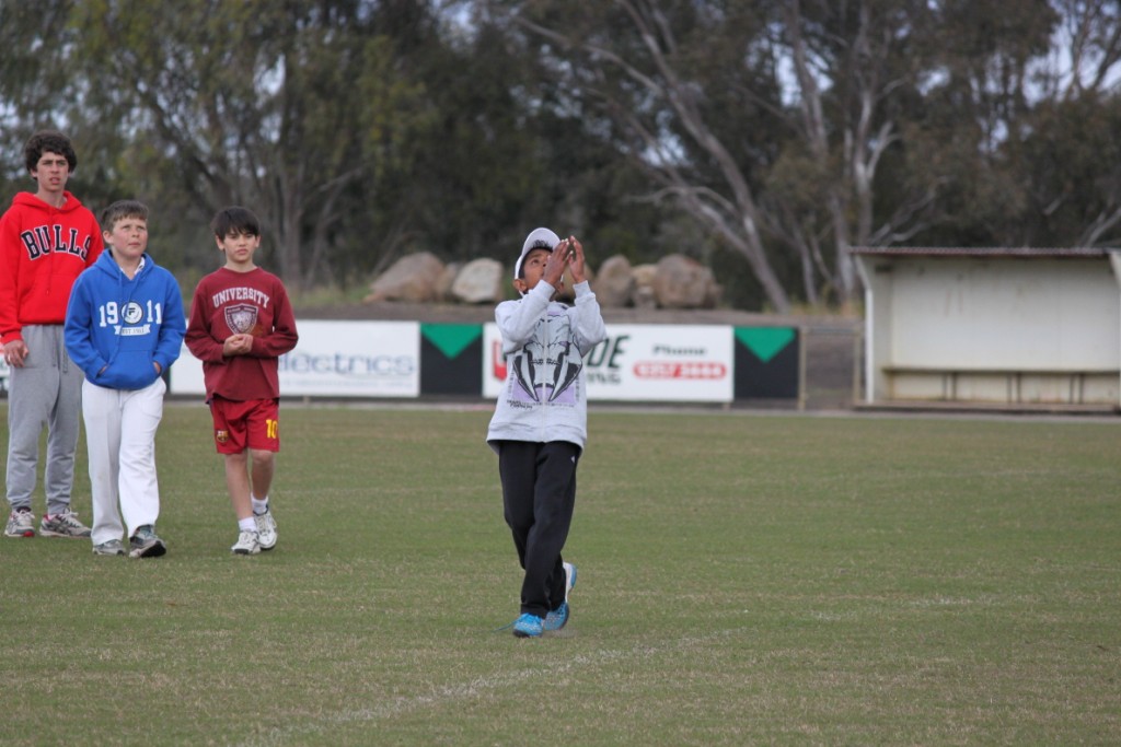 Junior Cricket