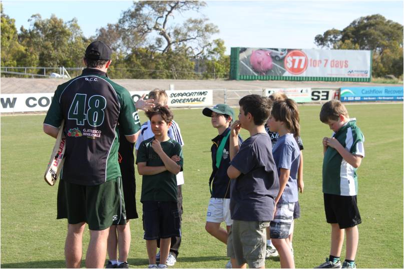 Junior Cricket