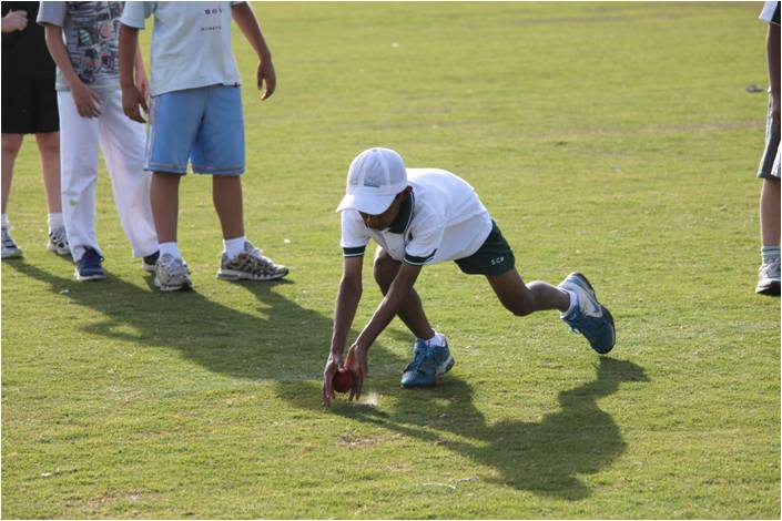 Junior Cricket