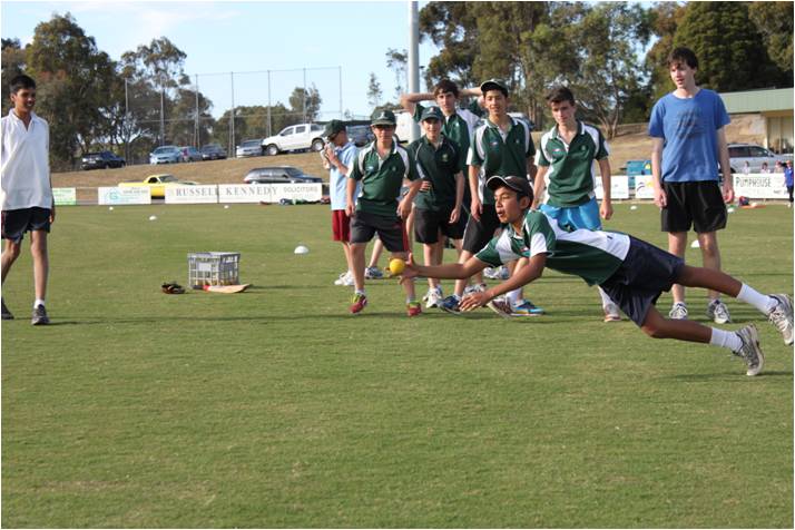 Junior Cricket